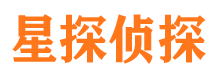 河西市侦探调查公司